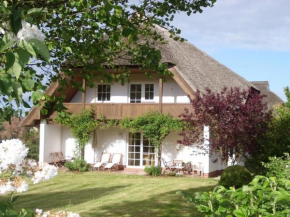 Reetdach - Ferienwohnung 